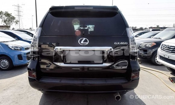 Buy Import Lexus GX Black Car in Import - Dubai in Abseron Buy Import Lexus GX Black Car in Import - Dubai in Abseron