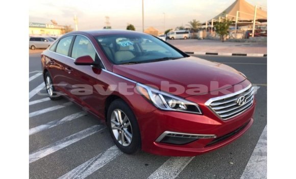 Buy Import Hyundai Sonata Red Car in Import - Dubai in Abseron Buy Import Hyundai Sonata Red Car in Import - Dubai in Abseron