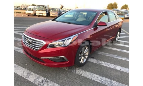 Buy Import Hyundai Sonata Red Car in Import - Dubai in Abseron Buy Import Hyundai Sonata Red Car in Import - Dubai in Abseron