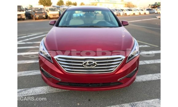 Buy Import Hyundai Sonata Red Car in Import - Dubai in Abseron Buy Import Hyundai Sonata Red Car in Import - Dubai in Abseron