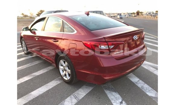 Buy Import Hyundai Sonata Red Car in Import - Dubai in Abseron Buy Import Hyundai Sonata Red Car in Import - Dubai in Abseron