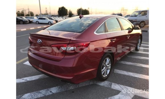 Buy Import Hyundai Sonata Red Car in Import - Dubai in Abseron Buy Import Hyundai Sonata Red Car in Import - Dubai in Abseron