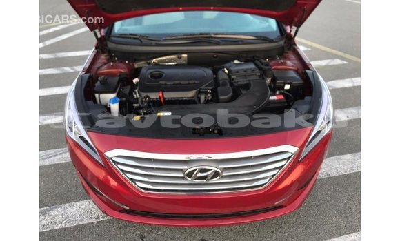 Buy Import Hyundai Sonata Red Car in Import - Dubai in Abseron Buy Import Hyundai Sonata Red Car in Import - Dubai in Abseron