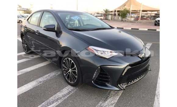 Buy Import Toyota Corolla Other Car in Import - Dubai in Abseron Buy Import Toyota Corolla Other Car in Import - Dubai in Abseron