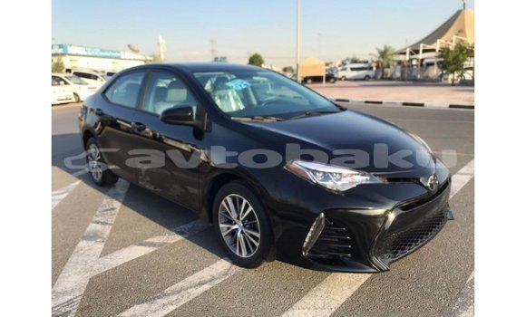Buy Import Toyota Corolla Black Car in Import - Dubai in Abseron Buy Import Toyota Corolla Black Car in Import - Dubai in Abseron