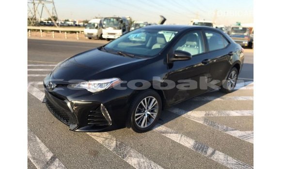 Buy Import Toyota Corolla Black Car in Import - Dubai in Abseron Buy Import Toyota Corolla Black Car in Import - Dubai in Abseron