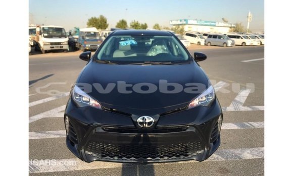 Buy Import Toyota Corolla Black Car in Import - Dubai in Abseron Buy Import Toyota Corolla Black Car in Import - Dubai in Abseron