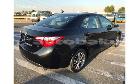 Buy Import Toyota Corolla Black Car in Import - Dubai in Abseron Buy Import Toyota Corolla Black Car in Import - Dubai in Abseron