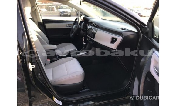 Buy Import Toyota Corolla Black Car in Import - Dubai in Abseron Buy Import Toyota Corolla Black Car in Import - Dubai in Abseron