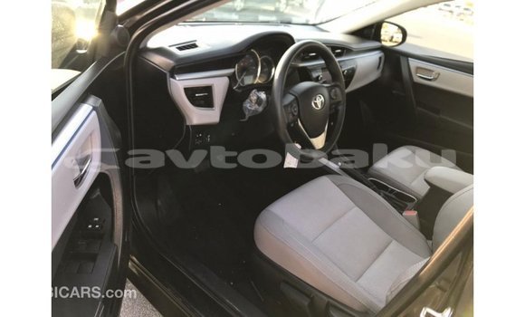 Buy Import Toyota Corolla Black Car in Import - Dubai in Abseron Buy Import Toyota Corolla Black Car in Import - Dubai in Abseron