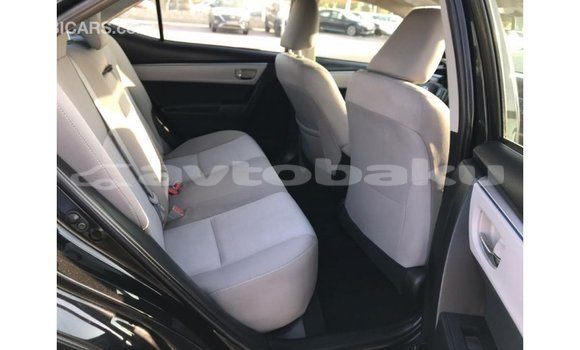 Buy Import Toyota Corolla Black Car in Import - Dubai in Abseron Buy Import Toyota Corolla Black Car in Import - Dubai in Abseron