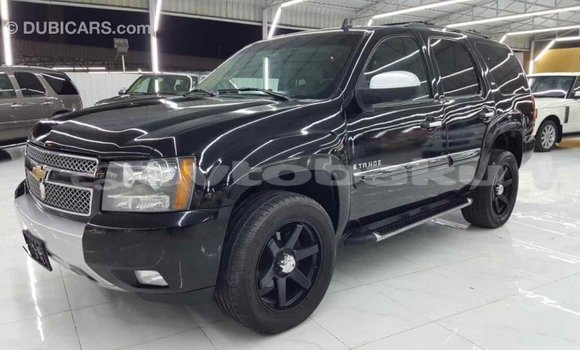Buy Import Chevrolet Tahoe Black Car in Import - Dubai in Abseron Buy Import Chevrolet Tahoe Black Car in Import - Dubai in Abseron