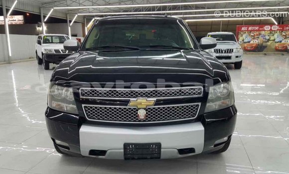 Buy Import Chevrolet Tahoe Black Car in Import - Dubai in Abseron Buy Import Chevrolet Tahoe Black Car in Import - Dubai in Abseron