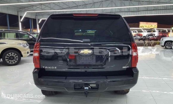 Buy Import Chevrolet Tahoe Black Car in Import - Dubai in Abseron Buy Import Chevrolet Tahoe Black Car in Import - Dubai in Abseron
