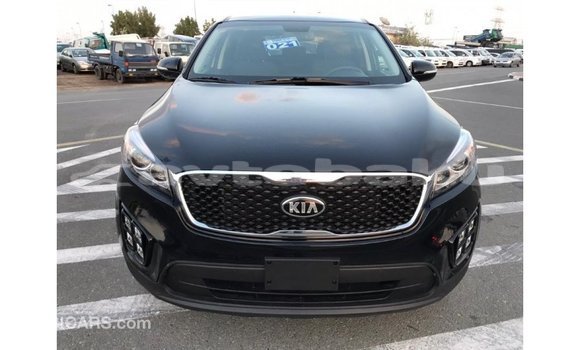 Buy Import Kia Sorento Black Car in Import - Dubai in Abseron Buy Import Kia Sorento Black Car in Import - Dubai in Abseron