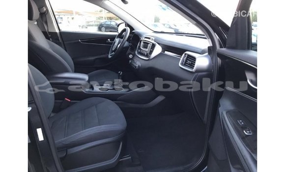 Buy Import Kia Sorento Black Car in Import - Dubai in Abseron Buy Import Kia Sorento Black Car in Import - Dubai in Abseron