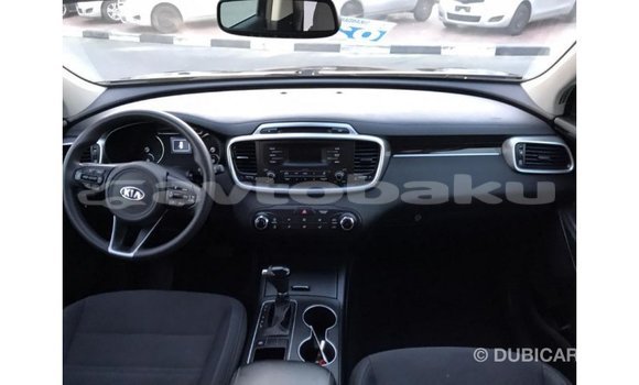 Buy Import Kia Sorento Black Car in Import - Dubai in Abseron Buy Import Kia Sorento Black Car in Import - Dubai in Abseron