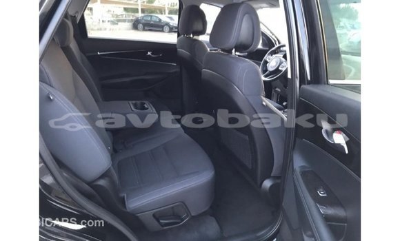 Buy Import Kia Sorento Black Car in Import - Dubai in Abseron Buy Import Kia Sorento Black Car in Import - Dubai in Abseron