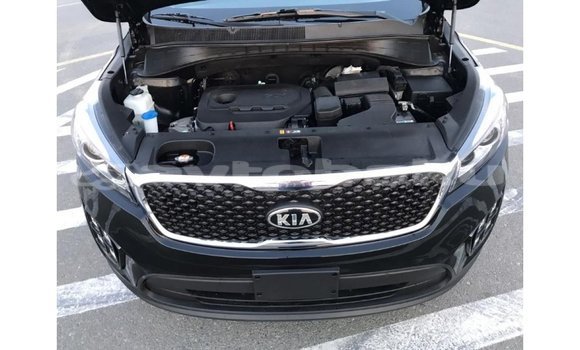 Buy Import Kia Sorento Black Car in Import - Dubai in Abseron Buy Import Kia Sorento Black Car in Import - Dubai in Abseron