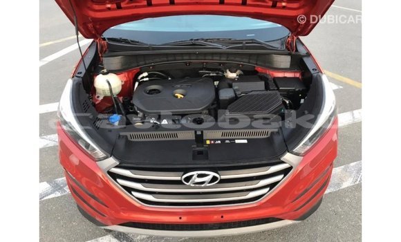 Buy Import Hyundai Tucson Red Car in Import - Dubai in Abseron Buy Import Hyundai Tucson Red Car in Import - Dubai in Abseron