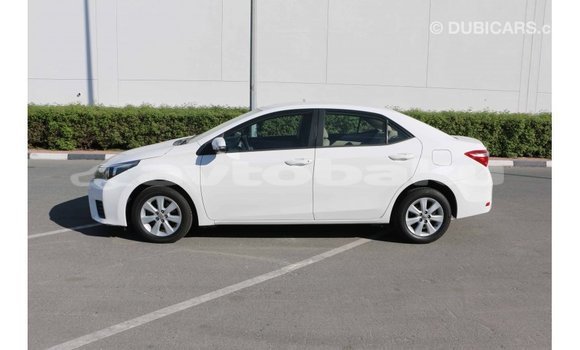 Buy Import Toyota Corolla White Car in Import - Dubai in Abseron Buy Import Toyota Corolla White Car in Import - Dubai in Abseron