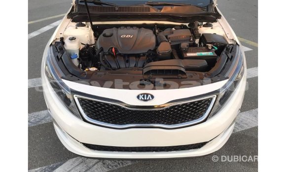 Buy Import Kia Optima White Car in Import - Dubai in Abseron Buy Import Kia Optima White Car in Import - Dubai in Abseron