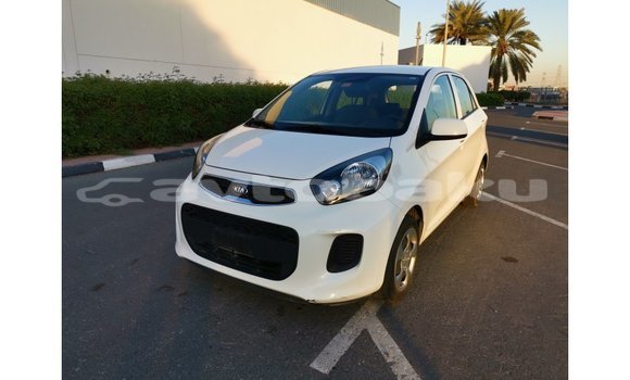 Buy Import Kia Picanto White Car in Import - Dubai in Abseron Buy Import Kia Picanto White Car in Import - Dubai in Abseron