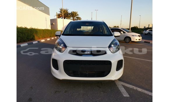 Buy Import Kia Picanto White Car in Import - Dubai in Abseron Buy Import Kia Picanto White Car in Import - Dubai in Abseron