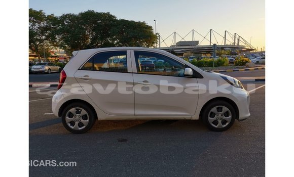 Buy Import Kia Picanto White Car in Import - Dubai in Abseron Buy Import Kia Picanto White Car in Import - Dubai in Abseron