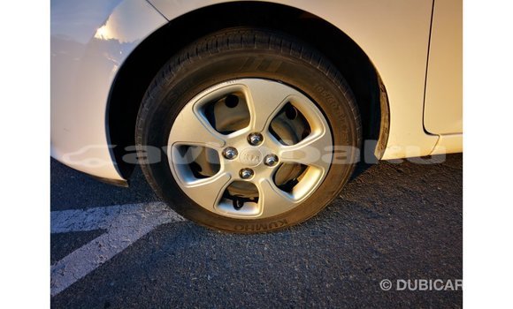 Buy Import Kia Picanto White Car in Import - Dubai in Abseron Buy Import Kia Picanto White Car in Import - Dubai in Abseron