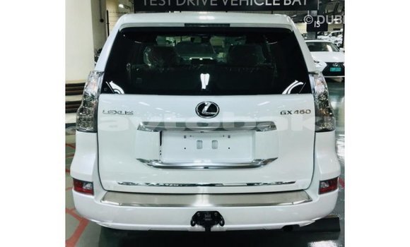 Buy Import Lexus GX White Car in Import - Dubai in Abseron Buy Import Lexus GX White Car in Import - Dubai in Abseron