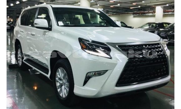 Buy Import Lexus GX White Car in Import - Dubai in Abseron Buy Import Lexus GX White Car in Import - Dubai in Abseron