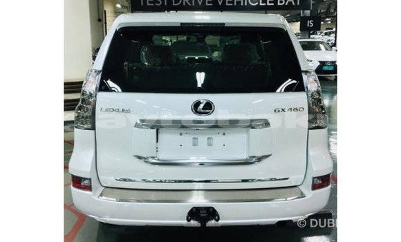 Buy Import Lexus GX White Car in Import - Dubai in Abseron Buy Import Lexus GX White Car in Import - Dubai in Abseron