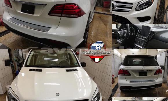 Buy Import Mercedes-Benz AMG GLE White Car in Baki in Abseron