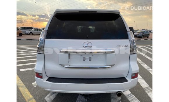 Buy Import Lexus GX White Car in Import - Dubai in Abseron Buy Import Lexus GX White Car in Import - Dubai in Abseron