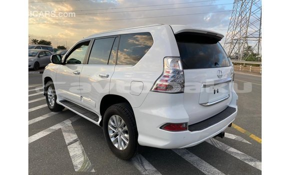 Buy Import Lexus GX White Car in Import - Dubai in Abseron Buy Import Lexus GX White Car in Import - Dubai in Abseron