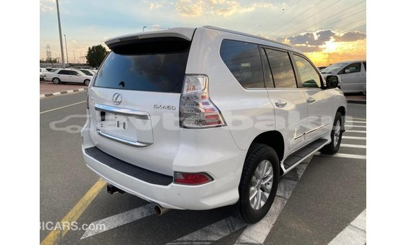 Buy Import Lexus GX White Car in Import - Dubai in Abseron Buy Import Lexus GX White Car in Import - Dubai in Abseron