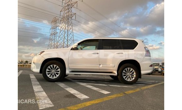 Buy Import Lexus GX White Car in Import - Dubai in Abseron Buy Import Lexus GX White Car in Import - Dubai in Abseron