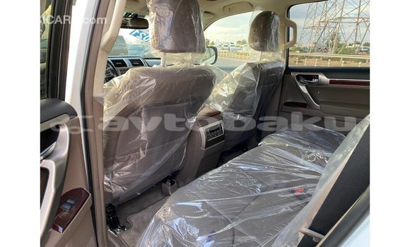 Buy Import Lexus GX White Car in Import - Dubai in Abseron Buy Import Lexus GX White Car in Import - Dubai in Abseron