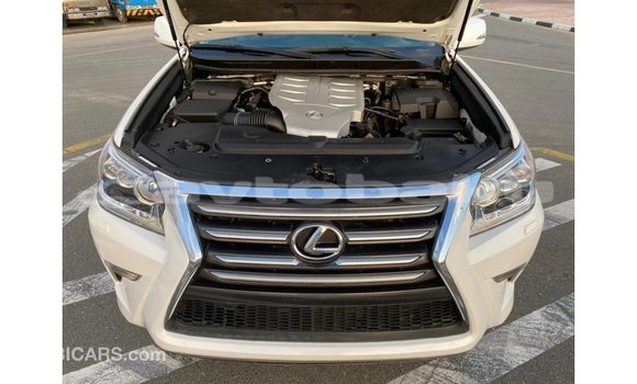 Buy Import Lexus GX White Car in Import - Dubai in Abseron Buy Import Lexus GX White Car in Import - Dubai in Abseron