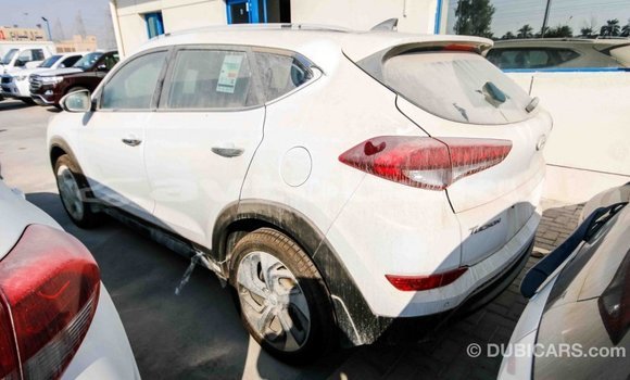 Buy Import Hyundai Tucson White Car in Import - Dubai in Abseron Buy Import Hyundai Tucson White Car in Import - Dubai in Abseron