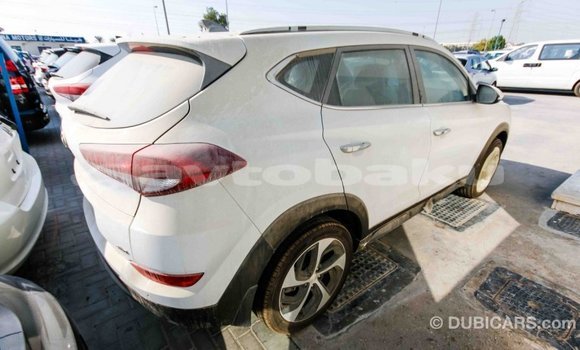 Buy Import Hyundai Tucson White Car in Import - Dubai in Abseron Buy Import Hyundai Tucson White Car in Import - Dubai in Abseron