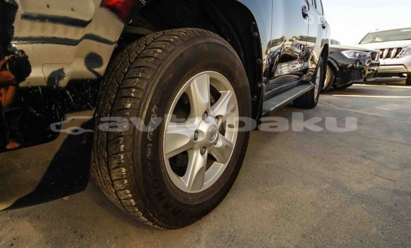 Buy Import Toyota Land Cruiser Black Car in Import - Dubai in Abseron Buy Import Toyota Land Cruiser Black Car in Import - Dubai in Abseron