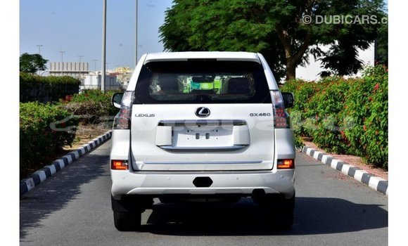 Buy Import Lexus GX White Car in Import - Dubai in Abseron Buy Import Lexus GX White Car in Import - Dubai in Abseron