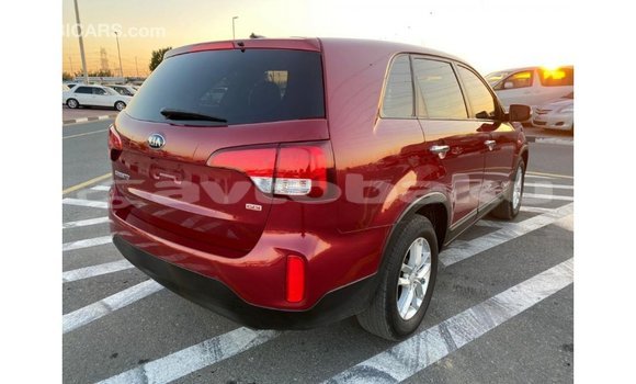 Buy Import Kia Sorento Red Car in Import - Dubai in Abseron Buy Import Kia Sorento Red Car in Import - Dubai in Abseron