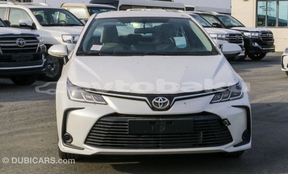 Buy Import Toyota Corolla White Car in Import - Dubai in Abseron Buy Import Toyota Corolla White Car in Import - Dubai in Abseron