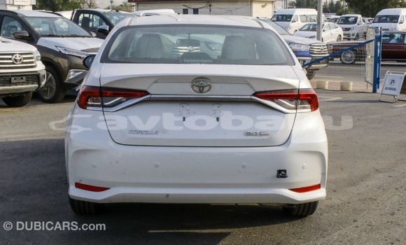 Buy Import Toyota Corolla White Car in Import - Dubai in Abseron Buy Import Toyota Corolla White Car in Import - Dubai in Abseron
