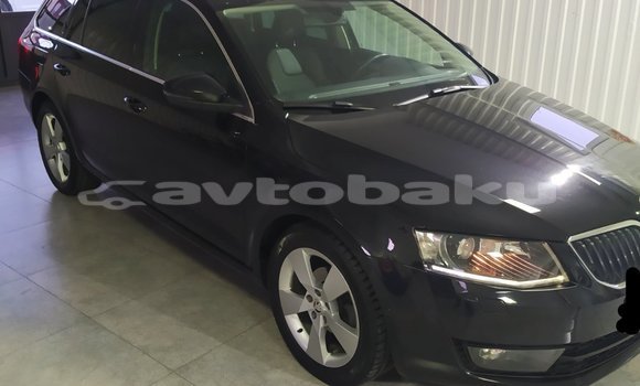 Buy Used Skoda Octavia Black Car in Baki in Abseron