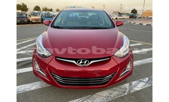 Buy Import Hyundai Elantra Red Car in Import - Dubai in Abseron Buy Import Hyundai Elantra Red Car in Import - Dubai in Abseron