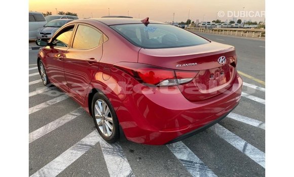 Buy Import Hyundai Elantra Red Car in Import - Dubai in Abseron Buy Import Hyundai Elantra Red Car in Import - Dubai in Abseron